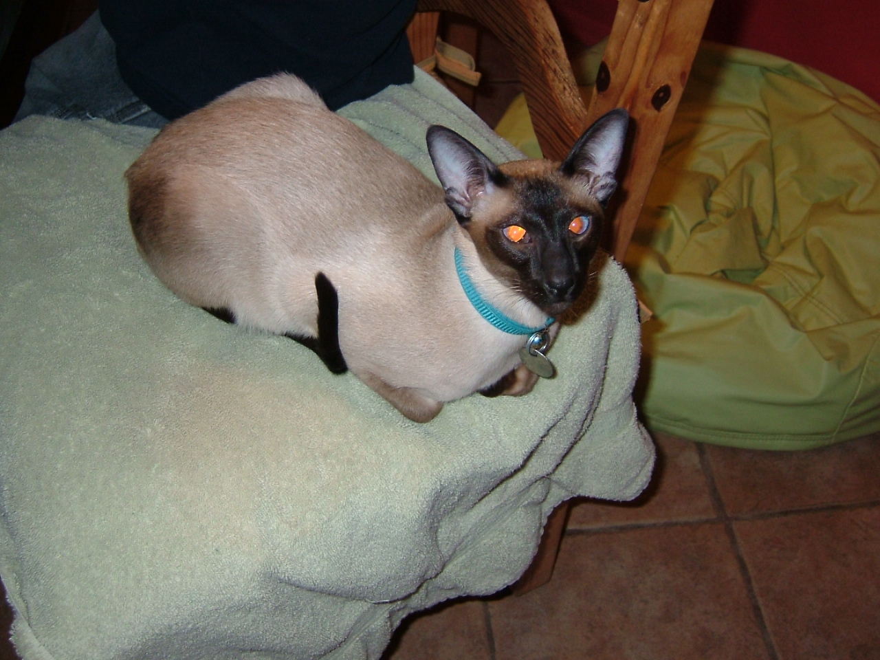 2008-03-21 21-24-1758.JPG