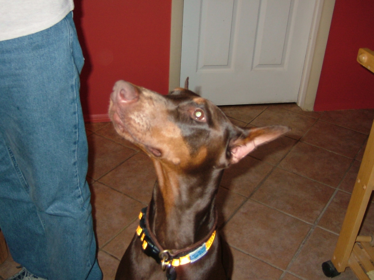 2008-03-21 21-26-4457.JPG