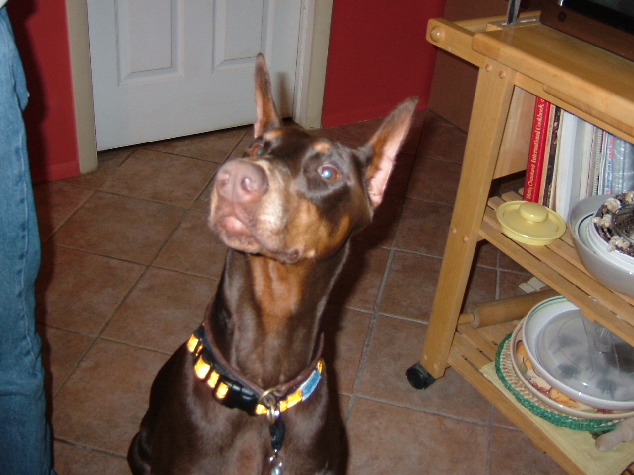 2008-03-21 21-27-0055.JPG