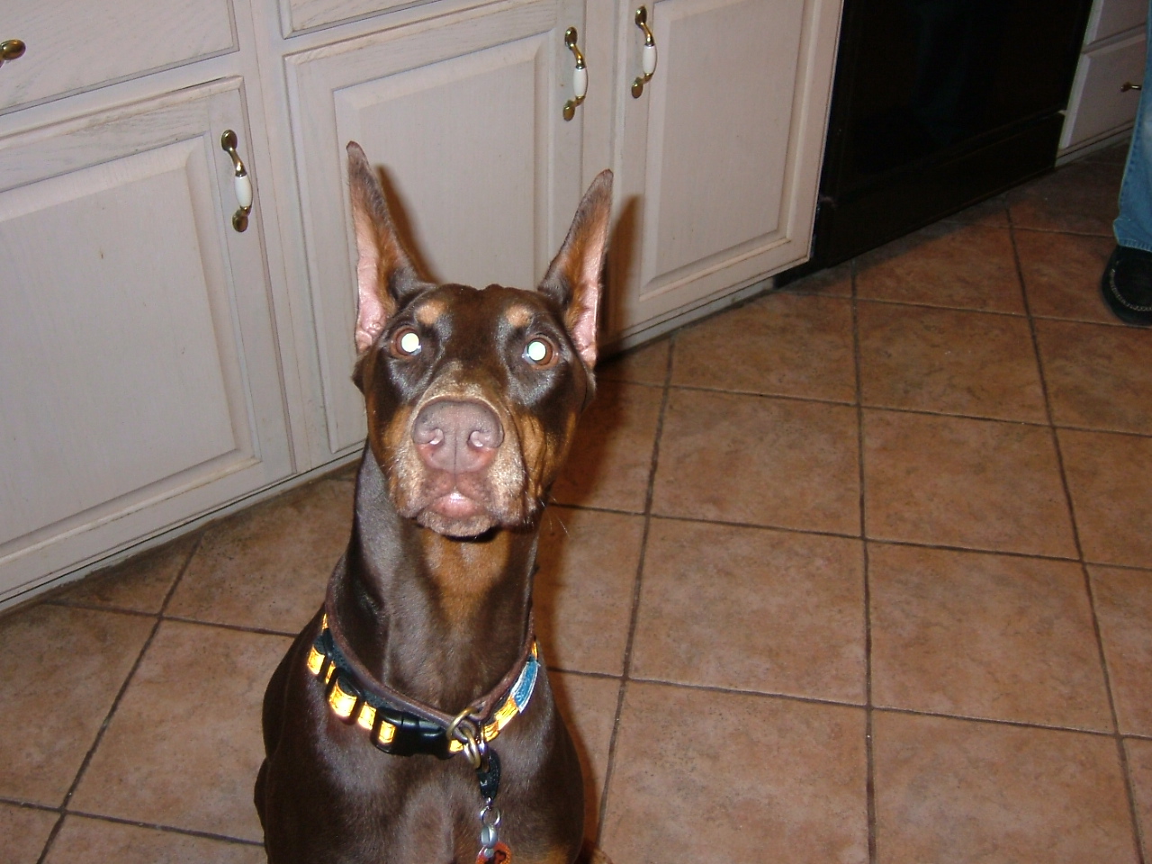 2008-03-21 21-28-0554.JPG