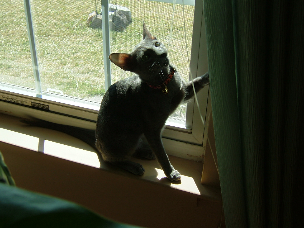 2008-03-23 12-47-2151.JPG