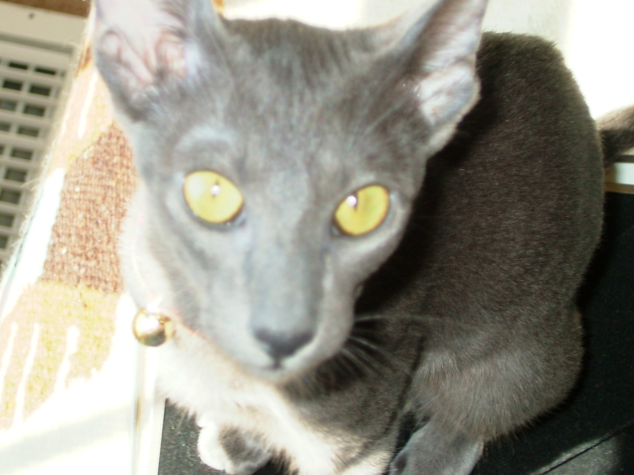 2008-03-23 12-48-1850.JPG