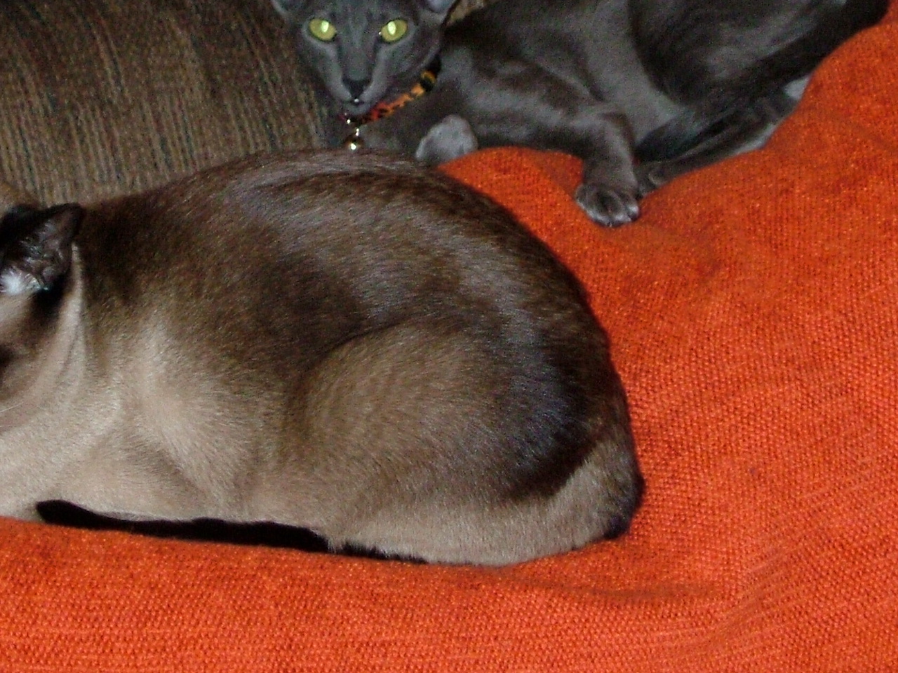 2008-04-15 14-43-2939.JPG