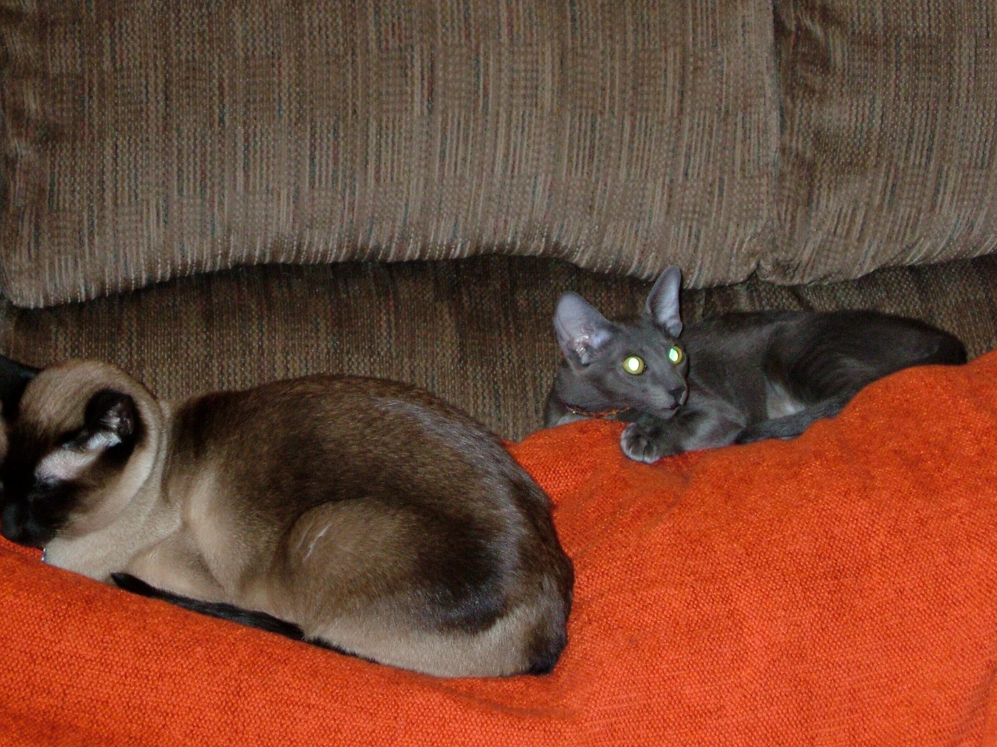 2008-04-15 14-47-1538.JPG