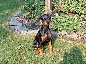 2002-01-12 23-41-561046.jpg