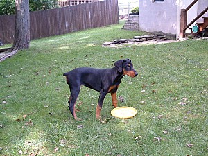 2002-01-21 04-07-061045.jpg