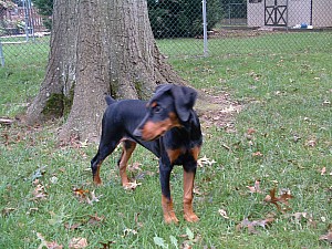 2002-01-21 04-09-341044.jpg