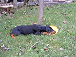 2002-01-21 04-12-131043.jpg