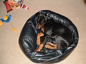 2002-02-03 06-00-541041.jpg