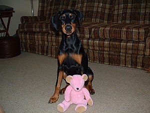 2002-02-04 02-19-021040.jpg