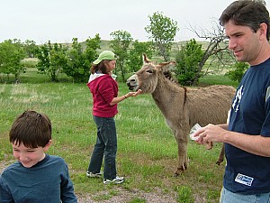 2003-02-25 20-46-211020.JPG