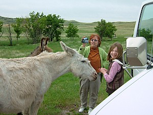 2003-02-25 20-46-321018.JPG