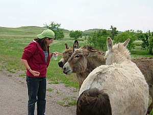 2003-02-25 20-46-581016.JPG