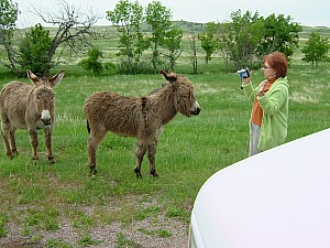 2003-02-25 20-47-351014.JPG