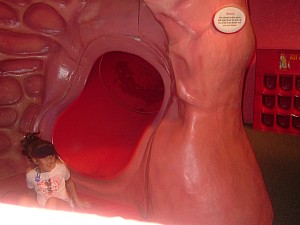 2003-07-02 13-58-24914.JPG