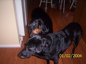 2004-01-02 10-16-11858.JPG