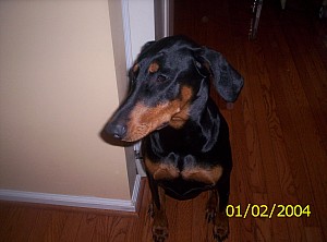 2004-01-02 10-16-29857.JPG