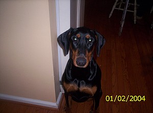 2004-01-02 10-16-36856.JPG