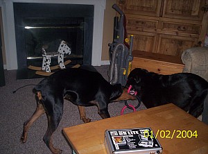 2004-01-02 15-27-53854.JPG