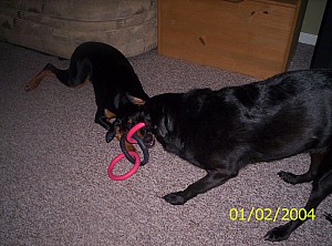 2004-01-02 15-28-25853.JPG