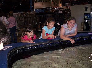 2006-05-27 11-22-59456.JPG