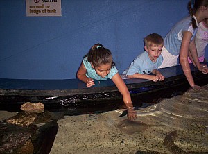 2006-05-27 11-27-31454.JPG