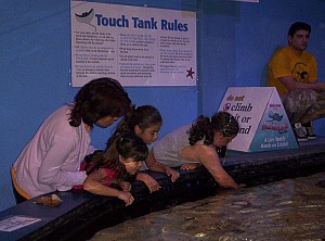 2006-05-27 13-45-54449.JPG