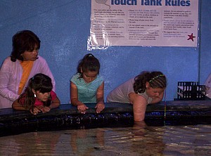 2006-05-27 13-46-53448.JPG