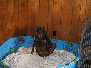 2006-06-02 16-41-22436.jpg