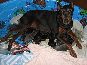 2006-06-03 10-07-44435.jpg