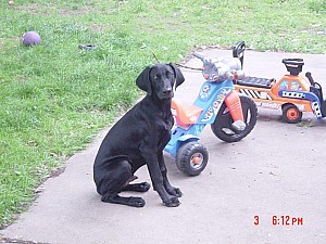 2006-06-03 18-12-34433.jpg