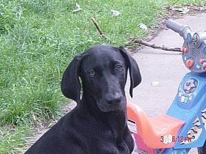 2006-06-03 18-12-41432.jpg