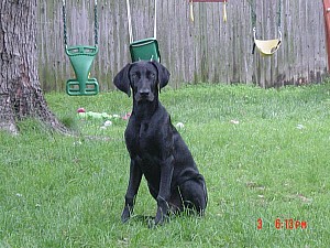 2006-06-03 18-13-13431.jpg