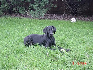 2006-06-03 18-14-57430.jpg