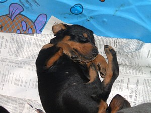 2006-06-24 18-39-22412.JPG