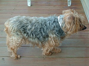 2006-07-01 06-30-03407.jpg