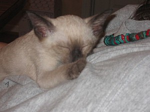 2006-07-11 08-26-07400.jpg