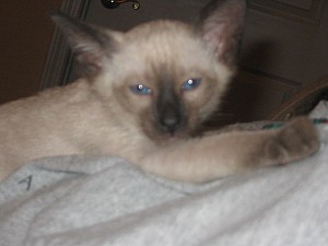 2006-07-11 08-28-18399.jpg