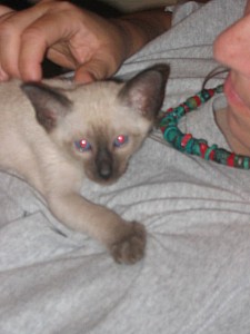 2006-07-11 08-28-49398.jpg