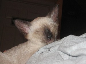 2006-07-11 08-30-10397.jpg