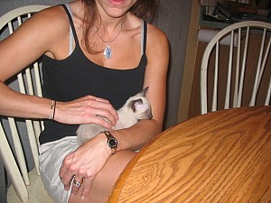 2006-07-11 09-53-55395.jpg