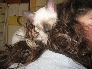 2006-07-11 20-31-56394.jpg