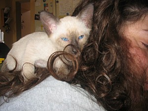 2006-07-11 20-32-23393.jpg