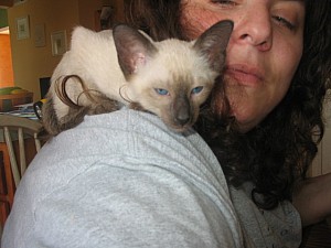 2006-07-11 20-32-49392.jpg