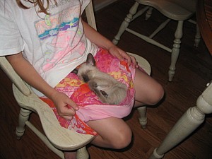 2006-07-12 07-45-58391.jpg