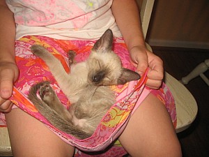 2006-07-12 07-47-37389.jpg