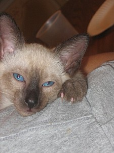 2006-07-13 02-44-37387.jpg