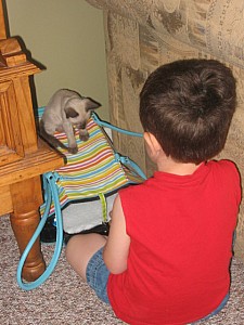 2006-07-13 22-27-55382.jpg