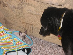 2006-07-13 22-41-57381.jpg