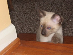 2006-07-15 05-25-26377.jpg